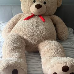 Teddy