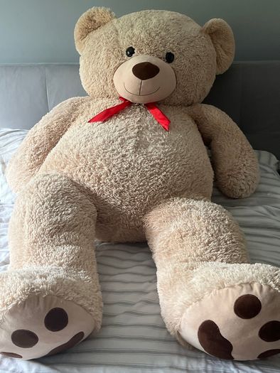 Teddy