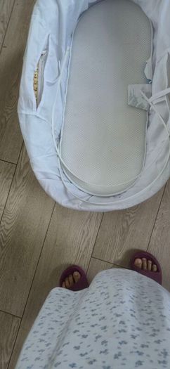 Moses basket
