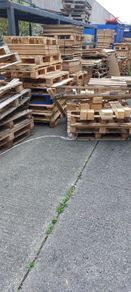 Firewood