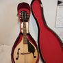 Ibanez Mandolin Image 4