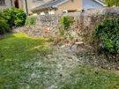 Cut down tree/Garden clearance Image 5