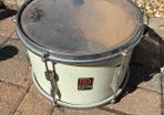 Vintage Premier 12