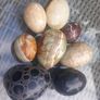 8 eggs, agate, stone, polished, beauties, D18 post 8e Image 2