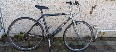 Bike Giant Expression