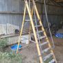 podium ladder Image 2