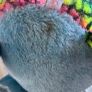 beanie boo Image 4