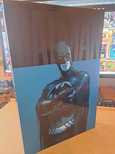 Absolute Batman & Robin: Batman Reborn