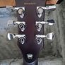 ESP E-II Eclipse Full Thickness Image 4