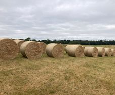 2026/25 hay for sale