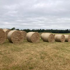 2026/25 hay for sale