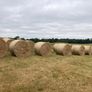 2026/25 hay for sale Image 10