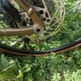 Cube Nuroad Pro 2024 Moss Green Image 4