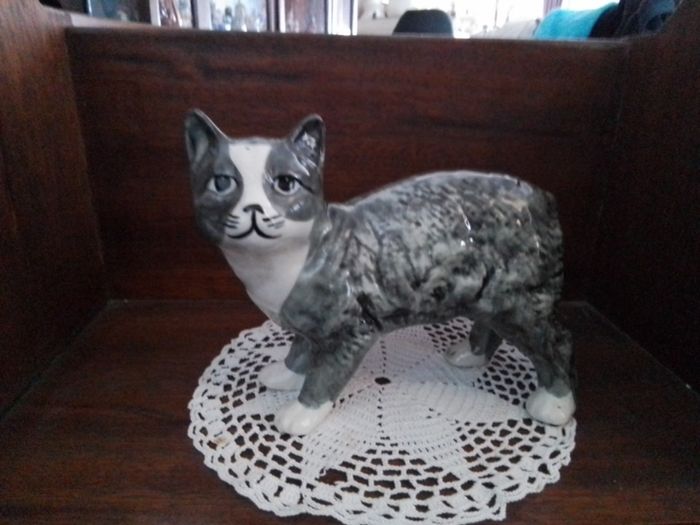 Grey Manx Cat