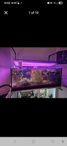 Custom build aquarium 370 liter +sump extras