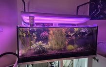 Custom build aquarium 370 liter +sump extras