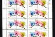 2014 Ireland World Flower Show 2014 Commemorative Stamps Sheetlet Plate 1A1A1A1A Mint Never Hinged (MNH)