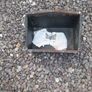 Vintage car parts Clubman Mini Image 3