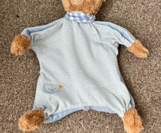 Teddy Comforter