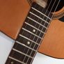 Encore Acoustic Guitar  Image 4