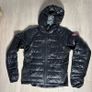 Canada goose hybridge Image 2