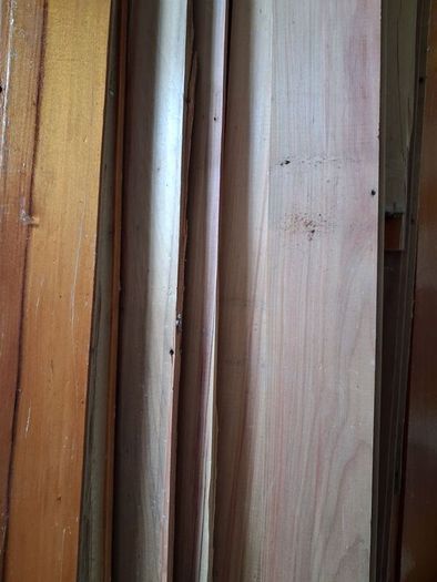 Parana pine boards