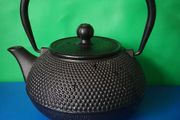 Japanese Tetsubin Tea pot