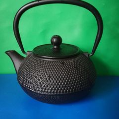 Japanese Tetsubin Tea pot