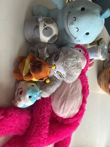 teddies