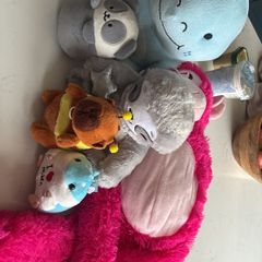 teddies