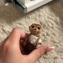sylvanian Image 7