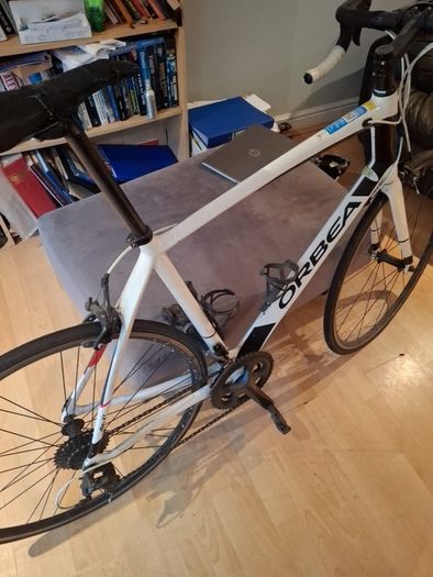 Orbeo carbon frame road bike, XL frame, recently serviced and in excellent condition