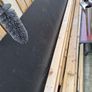 Timber Image 3