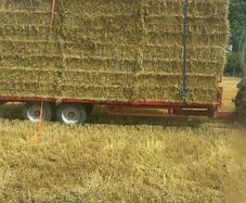 wheaten straw 8x4x3