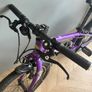 Frog bike 52 Image 3