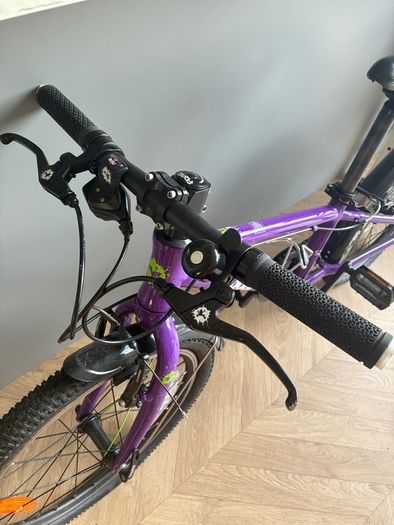 Frog bike 52