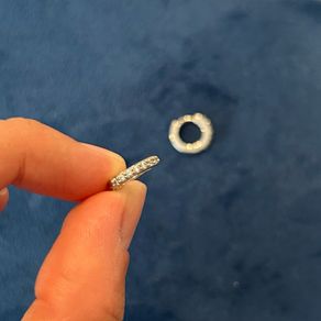Small earrings