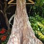Zara Very Pretty Summer Cotton Dress Image 3