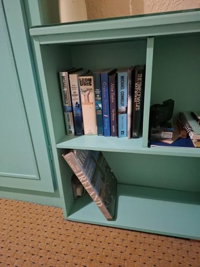 Turquoise Bookshelf