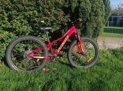 Specialized 24" kids' bike