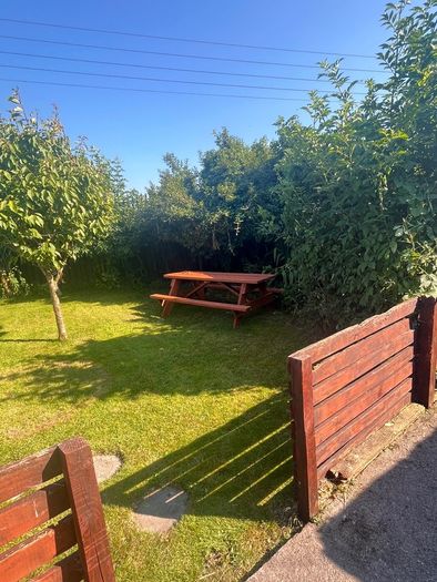 Few garden bits