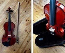 Stentor student standard violin outfit 1/2 (LH)