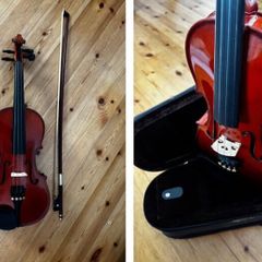 Stentor student standard violin outfit 1/2 (LH)