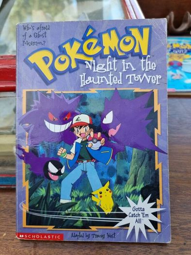 Pokemon book bundle