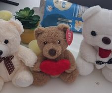 valentines teddys