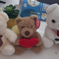 valentines teddys