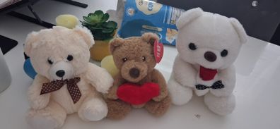 valentines teddys