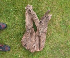 Fish Tank Drift Wood