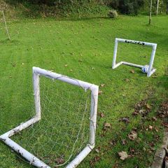 Forza football goals