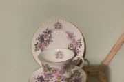 Vintage 14 Piece Royal Tara China Tea